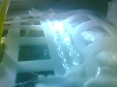 Bir Bitki İçin Küçük, İnsanlık İçin Büyük Bir Adım